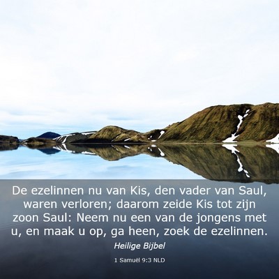 Picture 03 - 1 Samuël 9:3 NLD - De ezelinnen nu van Kis, den vader van Saul, - Bible Verse Picture