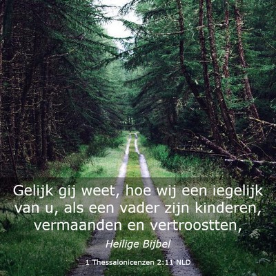 Picture 03 - 1 Thessalonicenzen 2:11 NLD - Gelijk gij weet, hoe wij een iegelijk van u, als - Bible Verse Picture