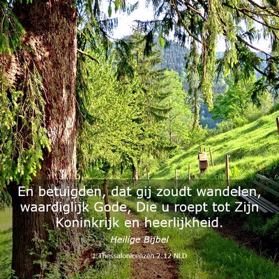 Picture 03 - 1 Thessalonicenzen 2:12 NLD - En betuigden, dat gij zoudt wandelen, waardiglijk - Bible Verse Picture