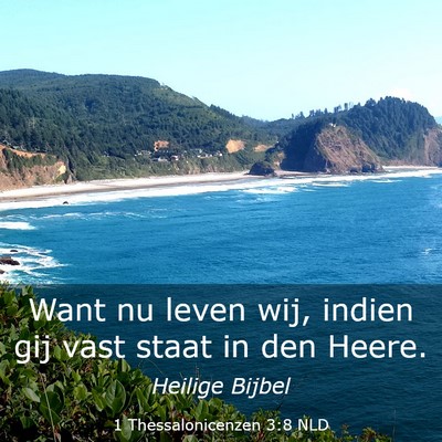 Picture 03 - 1 Thessalonicenzen 3:8 NLD - Want nu leven wij, indien gij vast staat in den - Bible Verse Picture