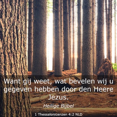Picture 03 - 1 Thessalonicenzen 4:2 NLD - Want gij weet, wat bevelen wij u gegeven hebben - Bible Verse Picture