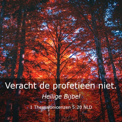 Picture 03 - 1 Thessalonicenzen 5:20 NLD - Veracht de profetieen - Bible Verse Picture