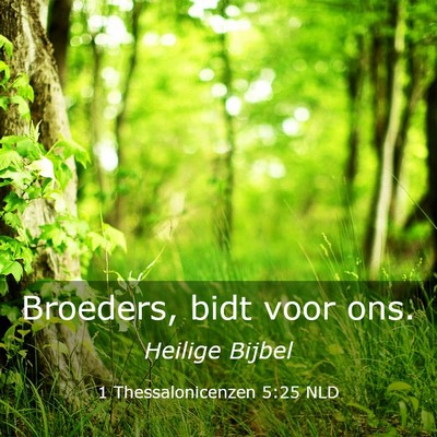 Picture 03 - 1 Thessalonicenzen 5:25 NLD - Broeders, bidt voor - Bible Verse Picture