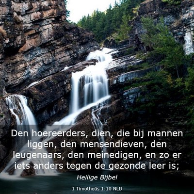 Picture 03 - 1 Timotheüs 1:10 NLD - Den hoereerders, dien, die bij mannen liggen, den - Bible Verse Picture