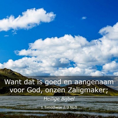 Picture 03 - 1 Timotheüs 2:3 NLD - Want dat is goed en aangenaam voor God, onzen - Bible Verse Picture