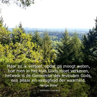 Picture 03 - 1 Timotheüs 3:15 NLD - Maar zo ik vertoef, opdat gij moogt weten, hoe - Bible Verse Picture