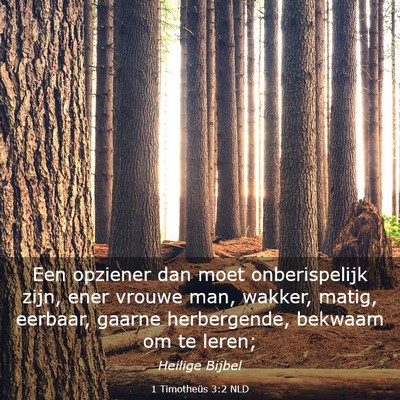 Picture 03 - 1 Timotheüs 3:2 NLD - Een opziener dan moet onberispelijk zijn, ener - Bible Verse Picture
