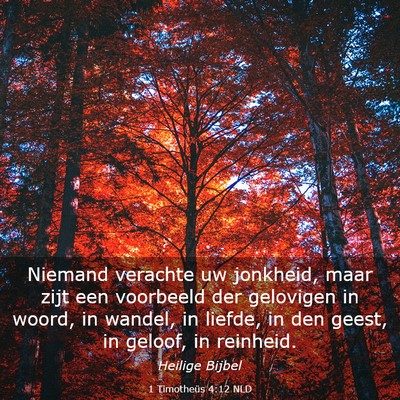 Picture 03 - 1 Timotheüs 4:12 NLD - Niemand verachte uw jonkheid, maar zijt een - Bible Verse Picture