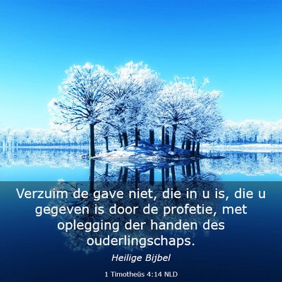 Picture 03 - 1 Timotheüs 4:14 NLD - Verzuim de gave niet, die in u is, die u gegeven - Bible Verse Picture