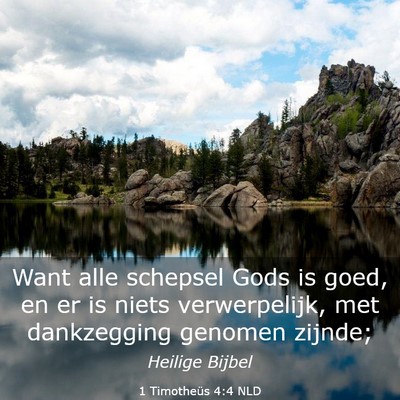 Picture 03 - 1 Timotheüs 4:4 NLD - Want alle schepsel Gods is goed, en er is niets - Bible Verse Picture