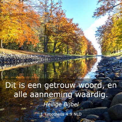 Picture 03 - 1 Timotheüs 4:9 NLD - Dit is een getrouw woord, en alle aanneming - Bible Verse Picture