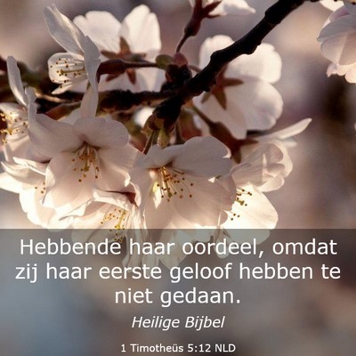 Picture 03 - 1 Timotheüs 5:12 NLD - Hebbende haar oordeel, omdat zij haar eerste - Bible Verse Picture