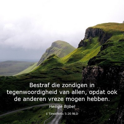 Picture 03 - 1 Timotheüs 5:20 NLD - Bestraf die zondigen in tegenwoordigheid van - Bible Verse Picture