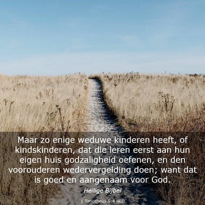 Picture 03 - 1 Timotheüs 5:4 NLD - Maar zo enige weduwe kinderen heeft, of - Bible Verse Picture
