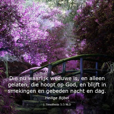 Picture 03 - 1 Timotheüs 5:5 NLD - Die nu waarlijk weduwe is, en alleen gelaten, die - Bible Verse Picture