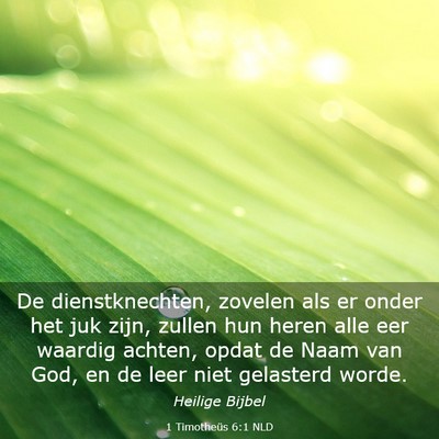Picture 03 - 1 Timotheüs 6:1 NLD - De dienstknechten, zovelen als er onder het juk - Bible Verse Picture