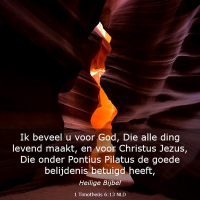 Picture 03 - 1 Timotheüs 6:13 NLD - Ik beveel u voor God, Die alle ding levend maakt, - Bible Verse Picture