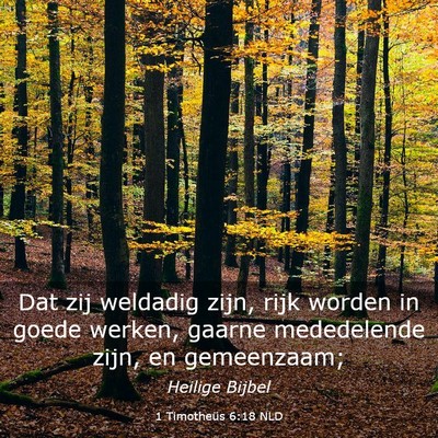 Picture 03 - 1 Timotheüs 6:18 NLD - Dat zij weldadig zijn, rijk worden in goede - Bible Verse Picture