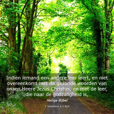 Picture 03 - 1 Timotheüs 6:3 NLD - Indien iemand een andere leer leert, en niet - Bible Verse Picture