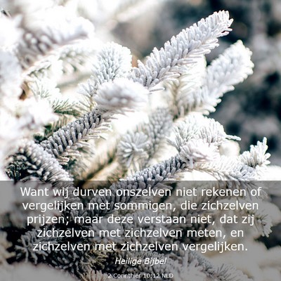 Picture 03 - 2 Corinthiër 10:12 NLD - Want wij durven onszelven niet rekenen of - Bible Verse Picture