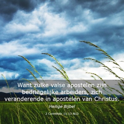 Picture 03 - 2 Corinthiër 11:13 NLD - Want zulke valse apostelen zijn bedriegelijke - Bible Verse Picture