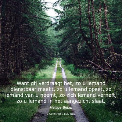 Picture 03 - 2 Corinthiër 11:20 NLD - Want gij verdraagt het, zo u iemand dienstbaar - Bible Verse Picture