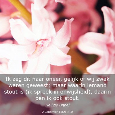 Picture 03 - 2 Corinthiër 11:21 NLD - Ik zeg dit naar oneer, gelijk of wij zwak waren - Bible Verse Picture