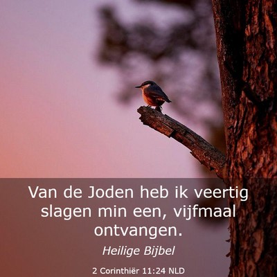 Picture 03 - 2 Corinthiër 11:24 NLD - Van de Joden heb ik veertig slagen min een, - Bible Verse Picture