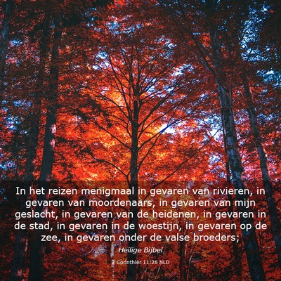 Picture 03 - 2 Corinthiër 11:26 NLD - In het reizen menigmaal in gevaren van rivieren, - Bible Verse Picture