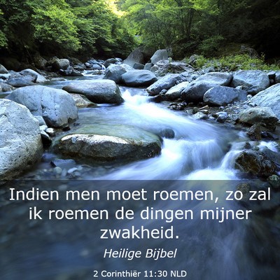 Picture 03 - 2 Corinthiër 11:30 NLD - Indien men moet roemen, zo zal ik roemen de - Bible Verse Picture