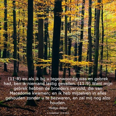 Picture 03 - 2 Corinthiër 11:9 NLD - (11:8) en als ik bij u tegenwoordig was en gebrek - Bible Verse Picture