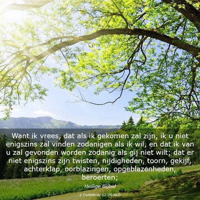 Picture 03 - 2 Corinthiër 12:20 NLD - Want ik vrees, dat als ik gekomen zal zijn, ik u - Bible Verse Picture