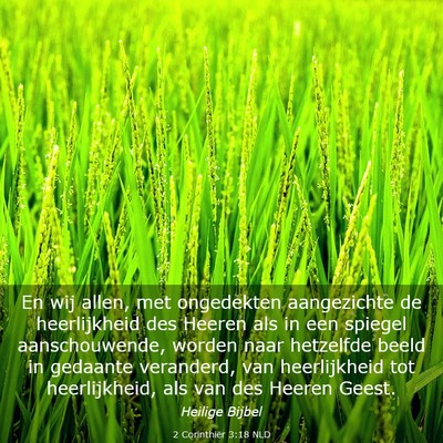 Picture 03 - 2 Corinthiër 3:18 NLD - En wij allen, met ongedekten aangezichte de - Bible Verse Picture