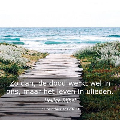 Picture 03 - 2 Corinthiër 4:12 NLD - Zo dan, de dood werkt wel in ons, maar het leven - Bible Verse Picture