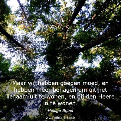 Picture 03 - 2 Corinthiër 5:8 NLD - Maar wij hebben goeden moed, en hebben meer - Bible Verse Picture