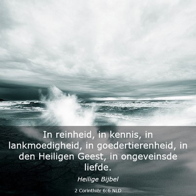 Picture 03 - 2 Corinthiër 6:6 NLD - In reinheid, in kennis, in lankmoedigheid, in - Bible Verse Picture