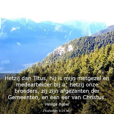 Picture 03 - 2 Corinthiër 8:23 NLD - Hetzij dan Titus, hij is mijn metgezel en - Bible Verse Picture