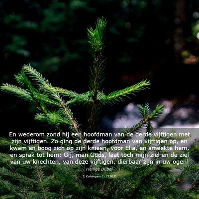 Picture 03 - 2 Koningen 1:13 NLD - En wederom zond hij een hoofdman van de derde - Bible Verse Picture