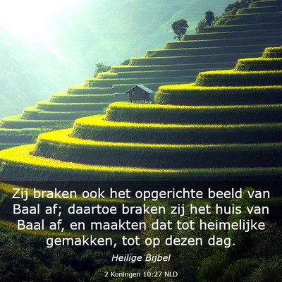 Picture 03 - 2 Koningen 10:27 NLD - Zij braken ook het opgerichte beeld van Baal af; - Bible Verse Picture