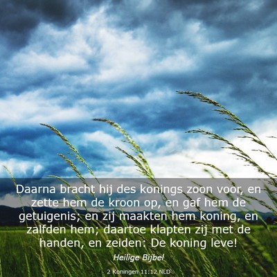 Picture 03 - 2 Koningen 11:12 NLD - Daarna bracht hij des konings zoon voor, en zette - Bible Verse Picture