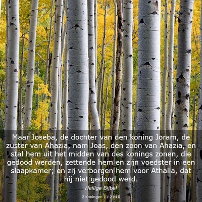 Picture 03 - 2 Koningen 11:2 NLD - Maar Joseba, de dochter van den koning Joram, de - Bible Verse Picture