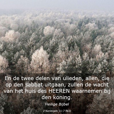 Picture 03 - 2 Koningen 11:7 NLD - En de twee delen van ulieden, allen, die op den - Bible Verse Picture