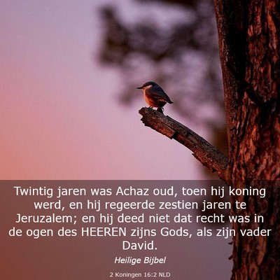 Picture 03 - 2 Koningen 16:2 NLD - Twintig jaren was Achaz oud, toen hij koning - Bible Verse Picture