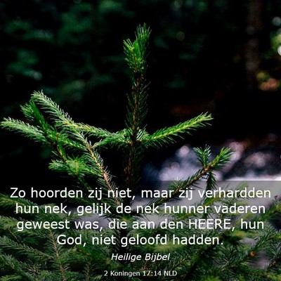 Picture 03 - 2 Koningen 17:14 NLD - Zo hoorden zij niet, maar zij verhardden hun nek, - Bible Verse Picture