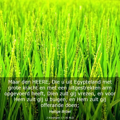 Picture 03 - 2 Koningen 17:36 NLD - Maar den HEERE, Die u uit Egypteland met grote - Bible Verse Picture