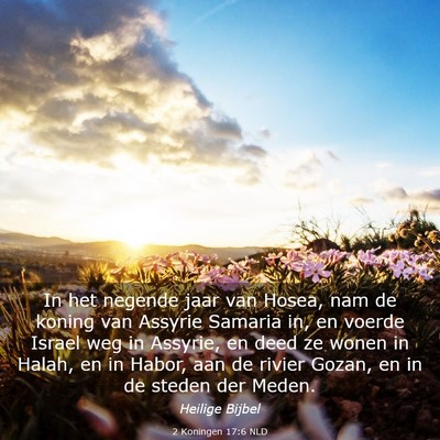 Picture 03 - 2 Koningen 17:6 NLD - In het negende jaar van Hosea, nam de koning van - Bible Verse Picture