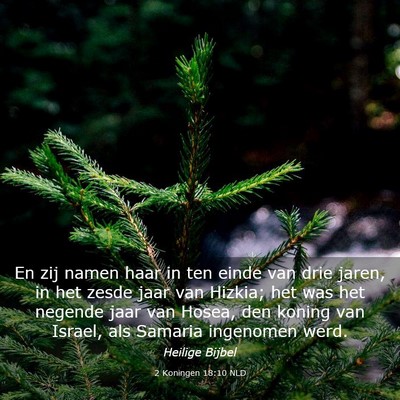 Picture 03 - 2 Koningen 18:10 NLD - En zij namen haar in ten einde van drie jaren, in - Bible Verse Picture