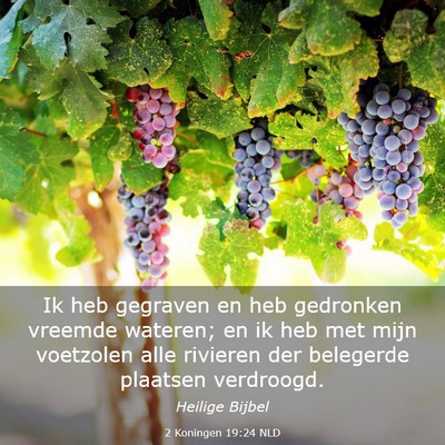 Picture 03 - 2 Koningen 19:24 NLD - Ik heb gegraven en heb gedronken vreemde wateren; - Bible Verse Picture