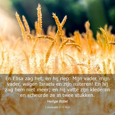 Picture 03 - 2 Koningen 2:12 NLD - En Elisa zag het, en hij riep: Mijn vader, mijn - Bible Verse Picture