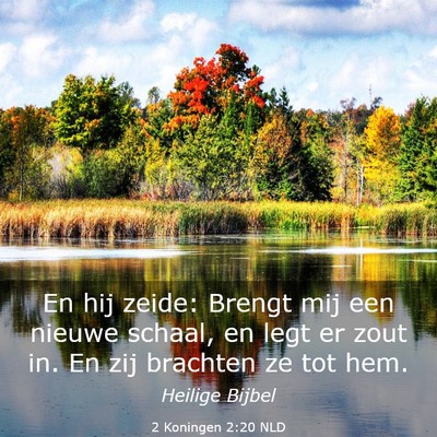 Picture 03 - 2 Koningen 2:20 NLD - En hij zeide: Brengt mij een nieuwe schaal, en - Bible Verse Picture